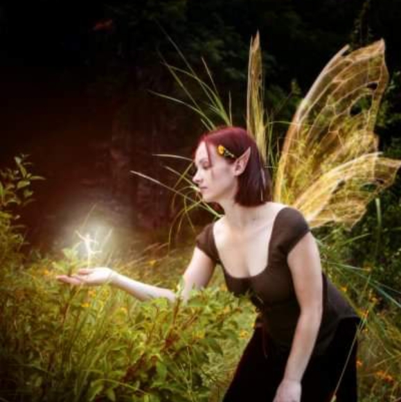 Meet your Posher, Lacey - Picture 4 of 6